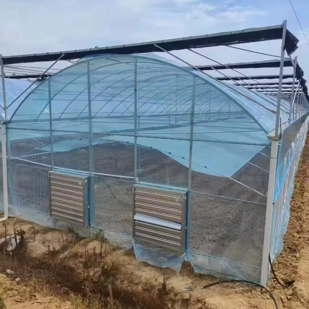 Double Wall And Insulating All Season Solar Greenhouses   Blanket Vegetables Growing