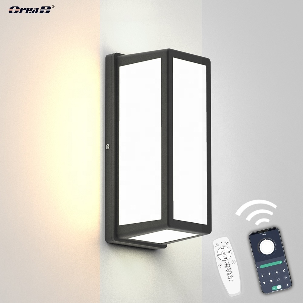 Smart Porch Light APP Remote Control Ceiling Or Wall Mount Ip65 20W Aluminum Led Lamp Outdoor Wall Lights With Hanging Board