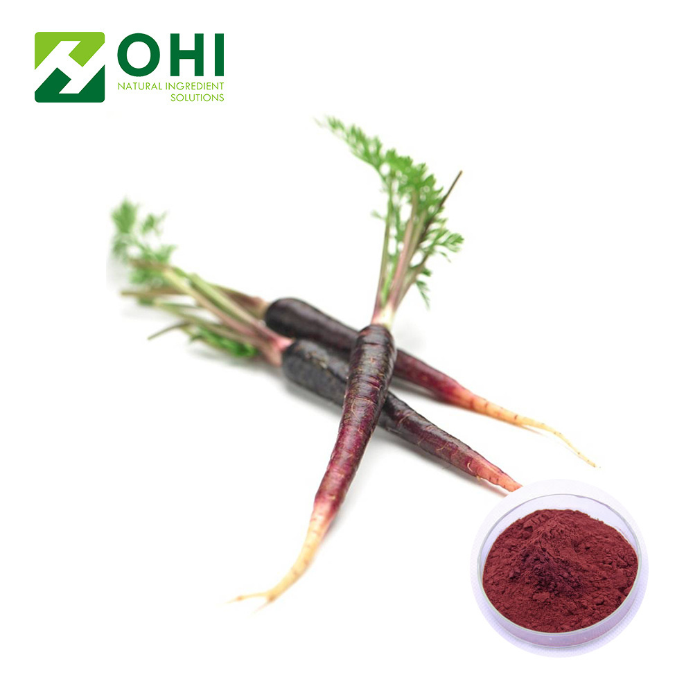 High Quality Black Carrot Juice Concentrate with best price /Daucus carota extract