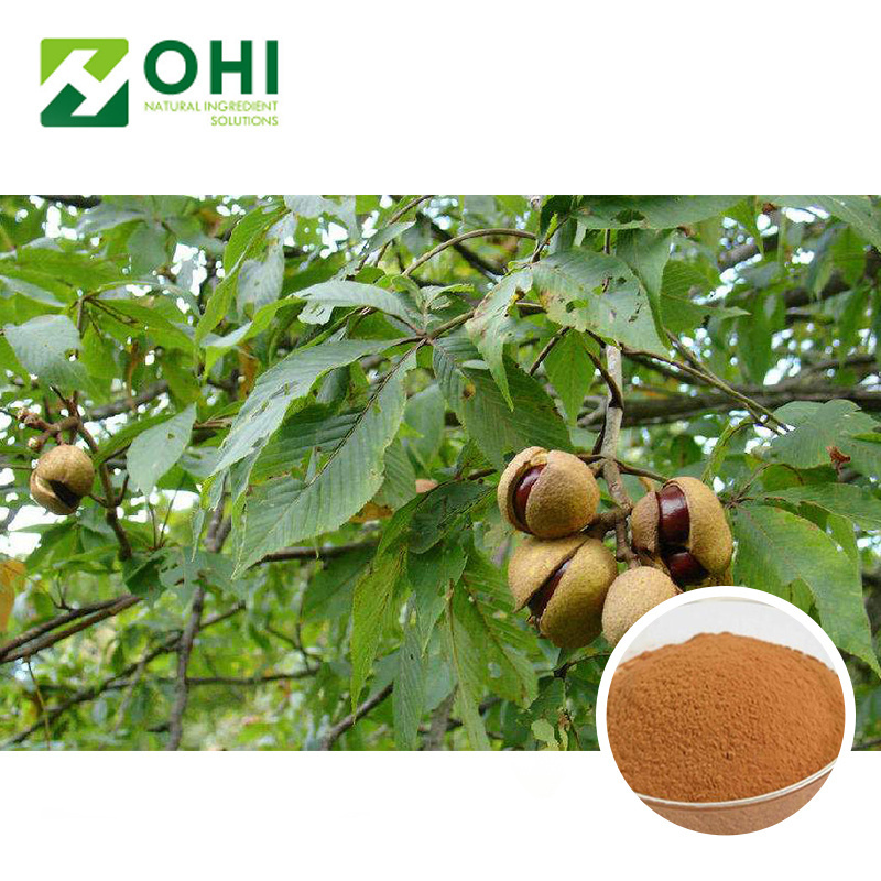 Natural horse chestnut powder | 20% Aescin horse chestnut extract