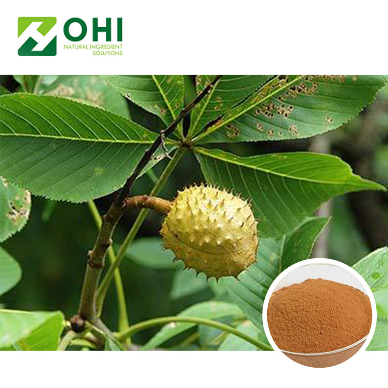 Natural horse chestnut powder | 20% Aescin horse chestnut extract