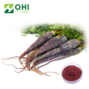 High Quality Black Carrot Juice Concentrate with best price /Daucus carota extract