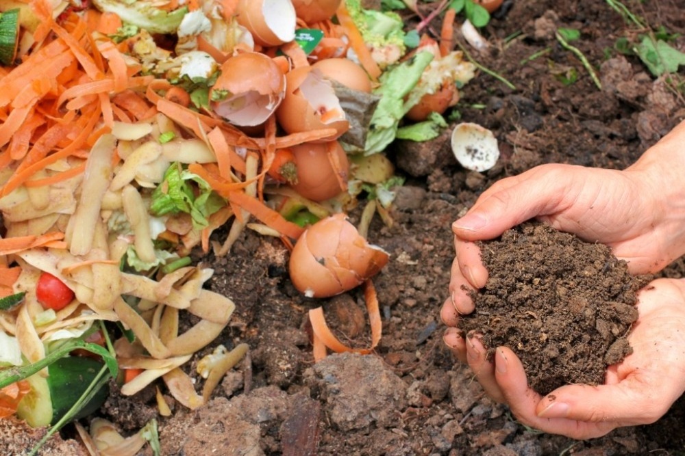 Natural fertilizer made using composting of waste