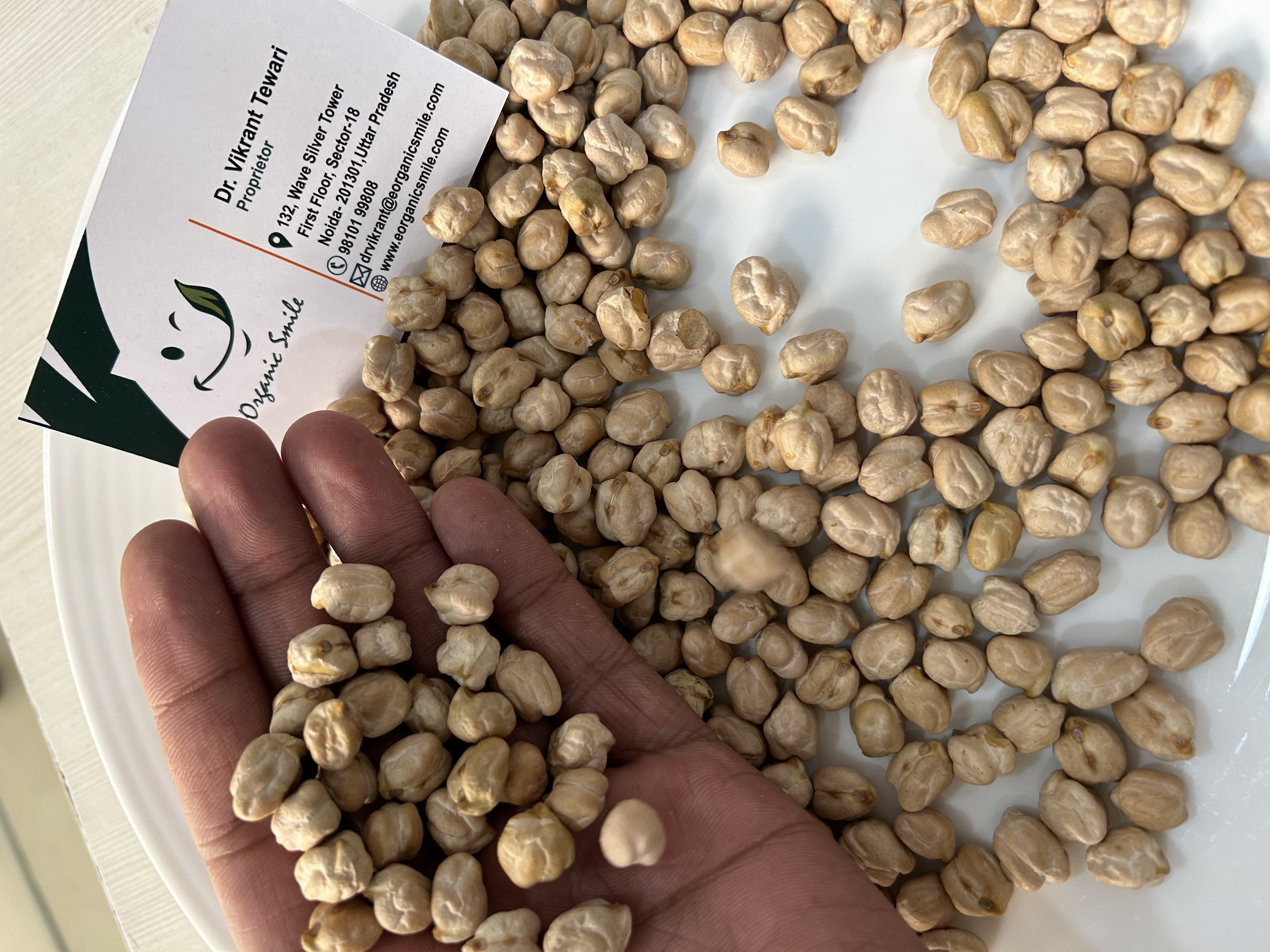 Hot Sale Chickpeas Non GMO Kabuli Food Chickpeas Beans In Bulk New Crop High Quality Kabuli Chickpeas for Wholesale Buyers