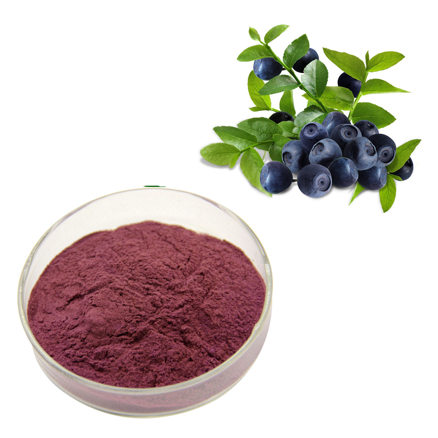 High Quality Organic Acai Pulp Frozen Acai Berry Extract Powder