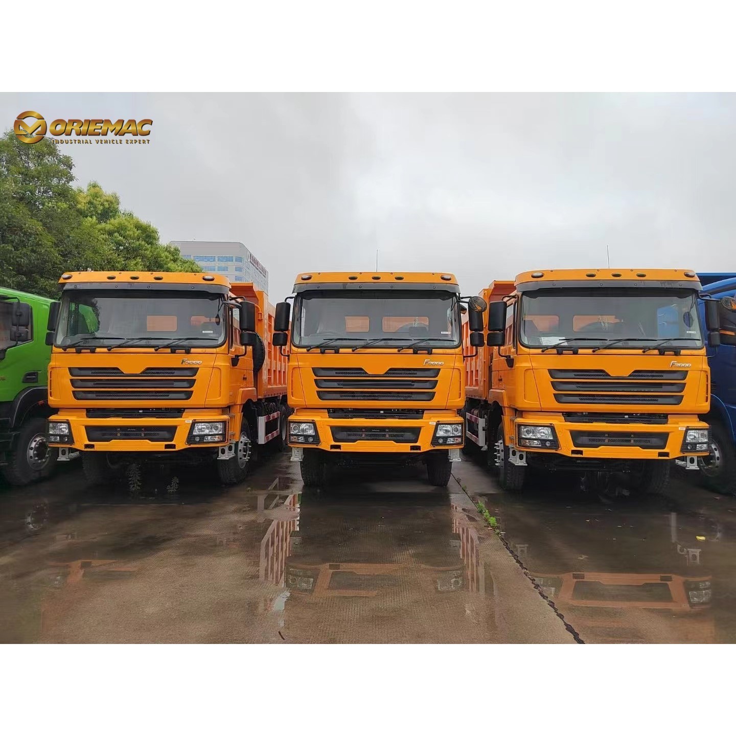 F3000 6*4 8*4 Heavy Lorry Dump Tipper Shacman Truck Dump Truck