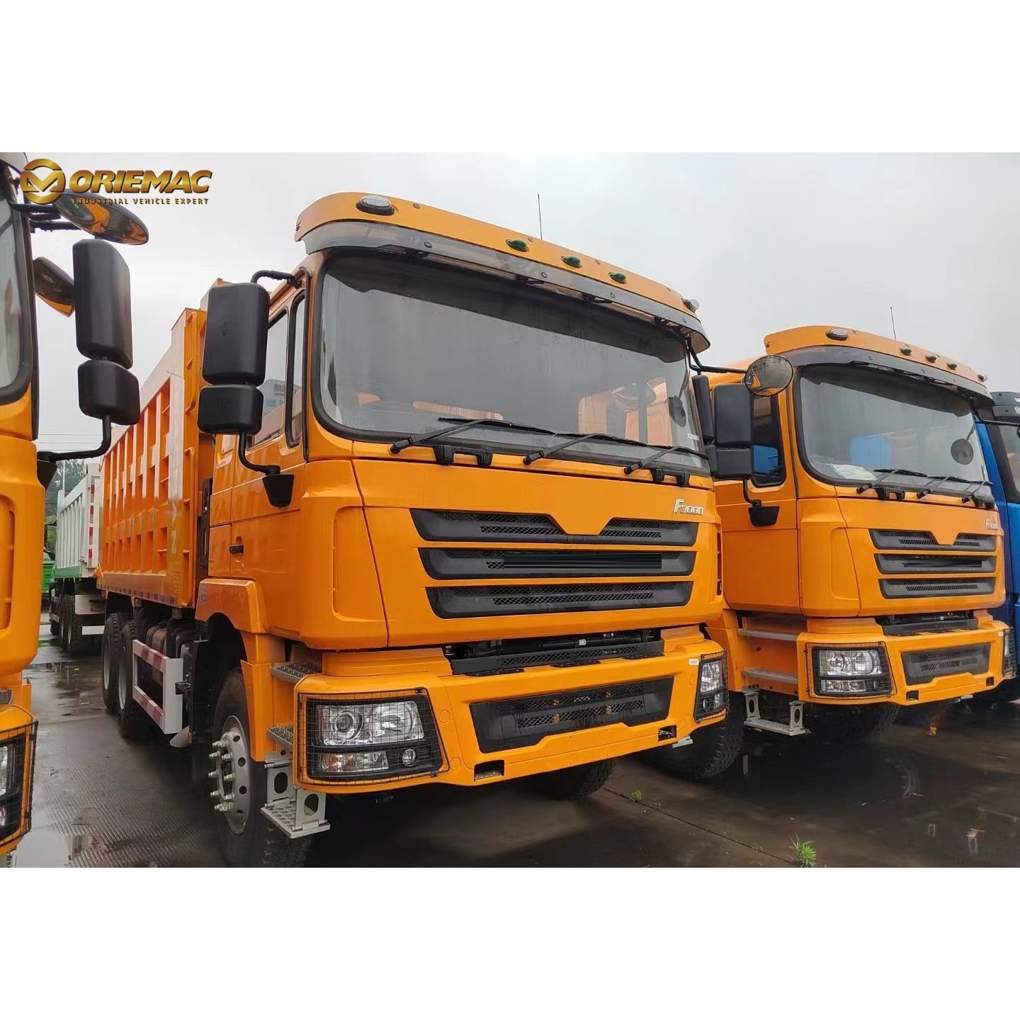 F3000 6*4 8*4 Heavy Lorry Dump Tipper Shacman Truck Dump Truck