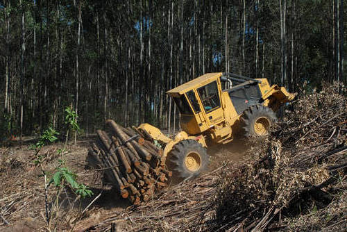 Chinese Forestry logging equipment wheel Crawler mini log skidder