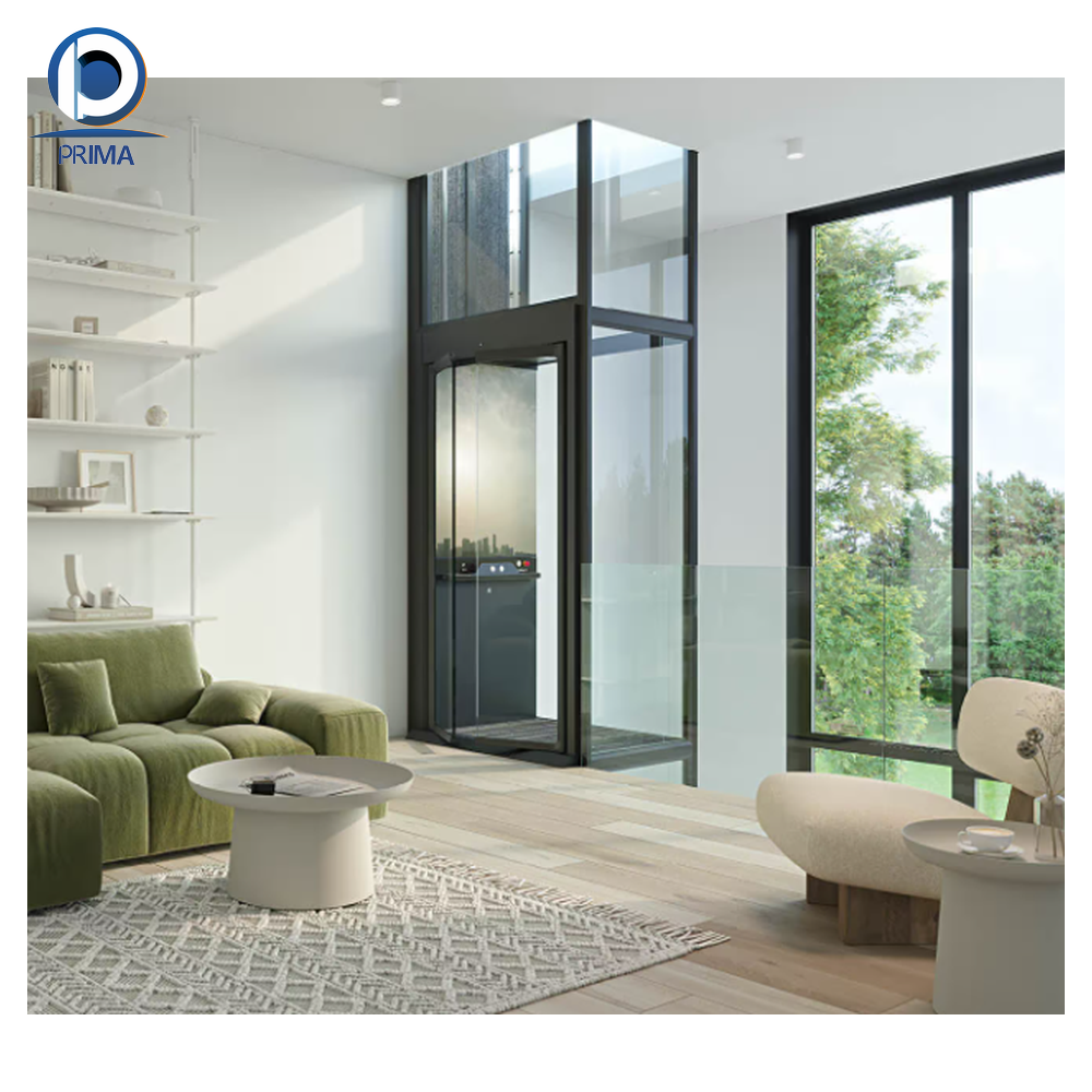 Best Selling Factory Customized Outstanding Quality Stainless Outdoor Steel Customized Color Glass Villa Elevator For Home