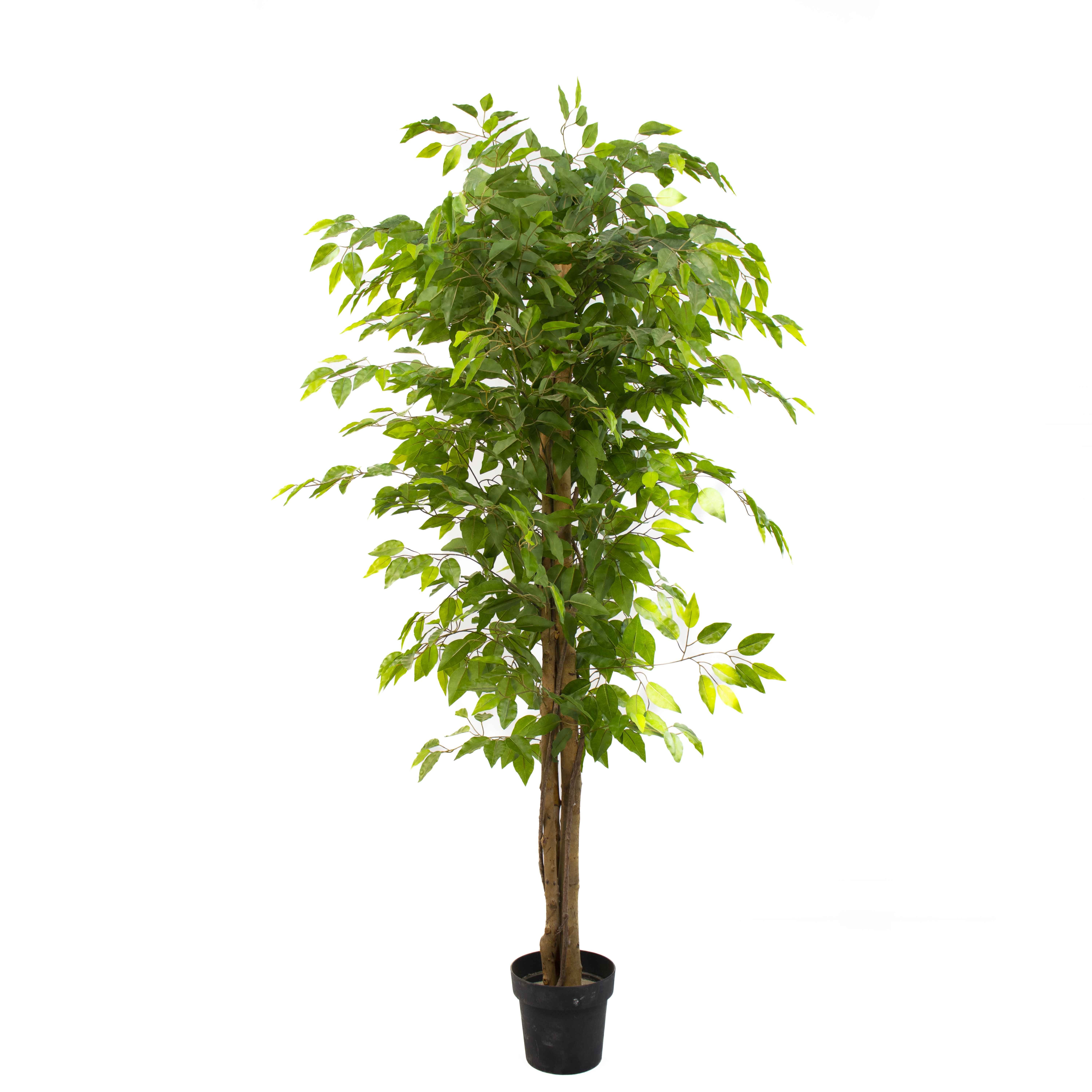 190cm Real touch plastics Moraceae Plants odorless Garden Decor Bonsai artificial Simulated Ficus macrocarpa banyan tree