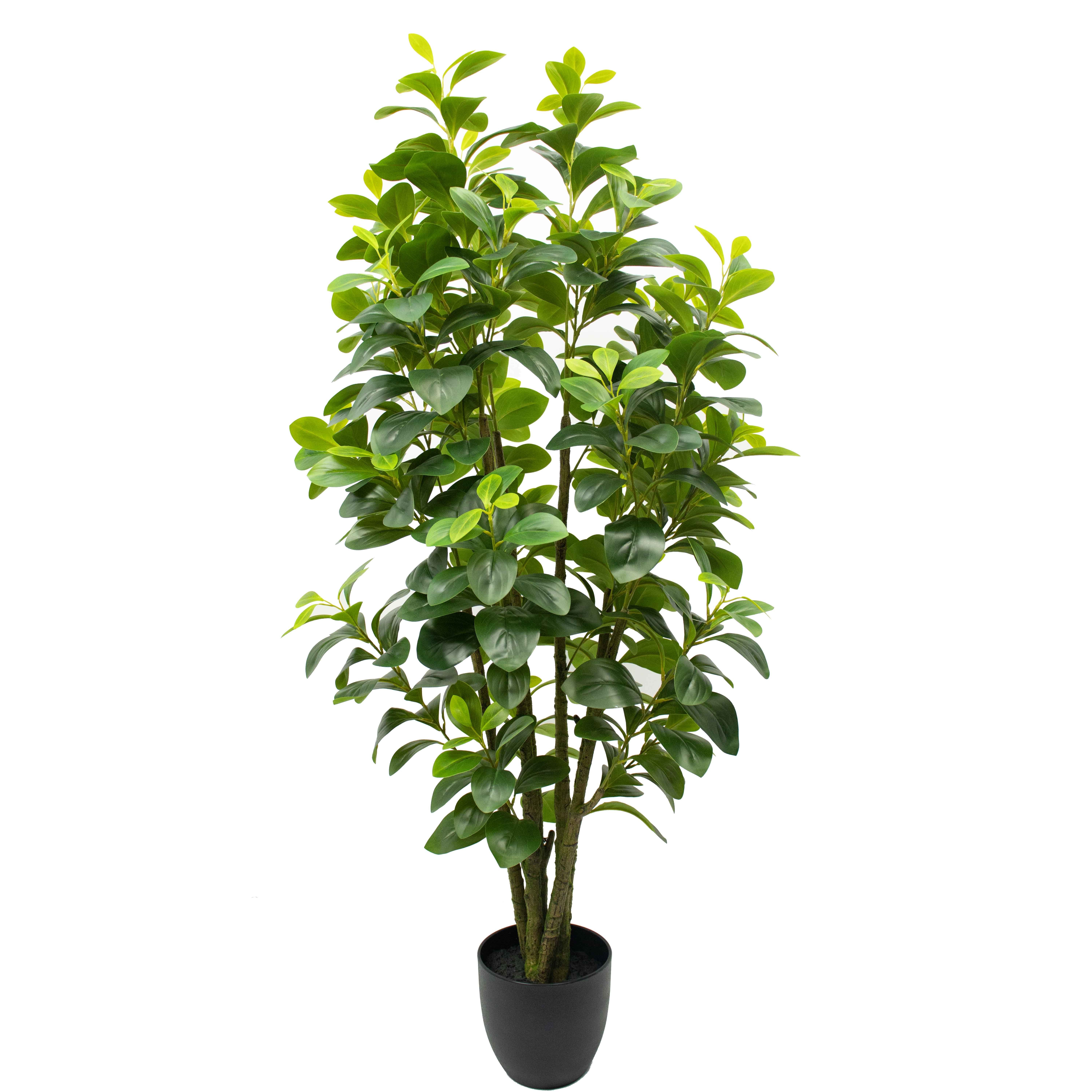 130cm obtusifolia sandersii tetraphylla plastics Plants 495 leaves Ornamental Garden Decor Bonsai artificial peperomia tree