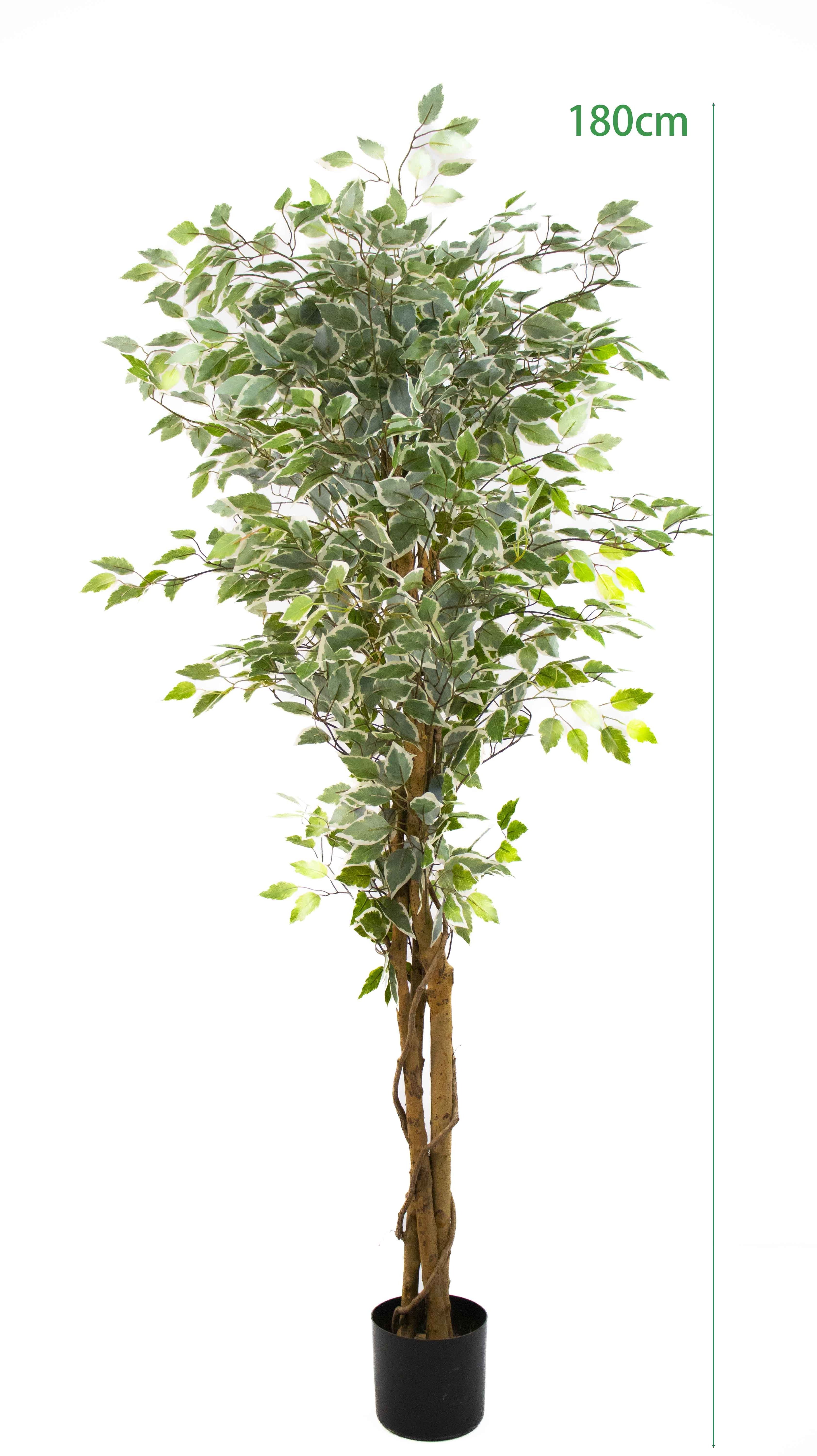 180cm Real touch plastics Moraceae Plants odorless Garden Decor Bonsai artificial Simulated Ficus macrocarpa banyan tree