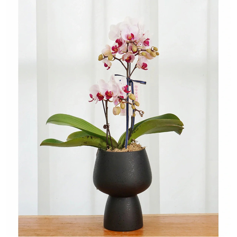 China Manufacturer Unique Style Modern Home Decor Ceramic Vases For Flowers And Decor Accessories