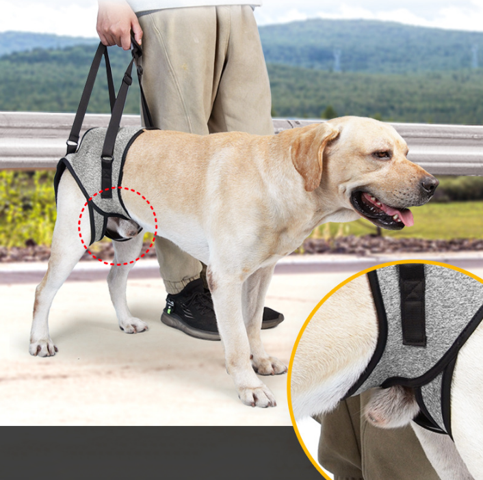 Dog Lift Harness, Dog Sling for Medium Large Dogs, Adjustable Dog Support Harness for Elderly, Injured, Arthritic,Disabled Dogs