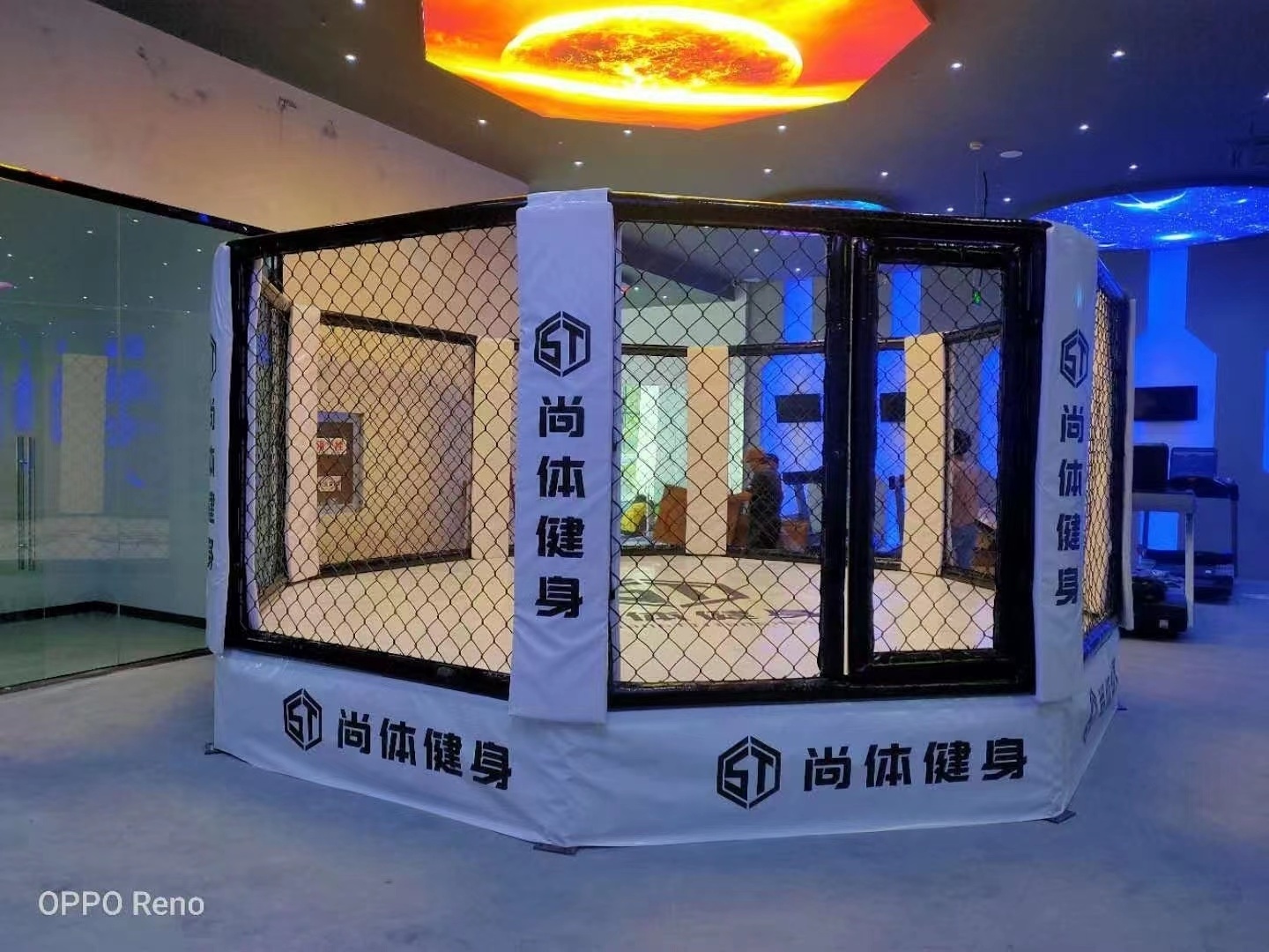 ROARFIT CHINA Professional Fighting Competition Equipment Machine Boxing Ring MMA Cage for Boxing Octagonal Cage Factory