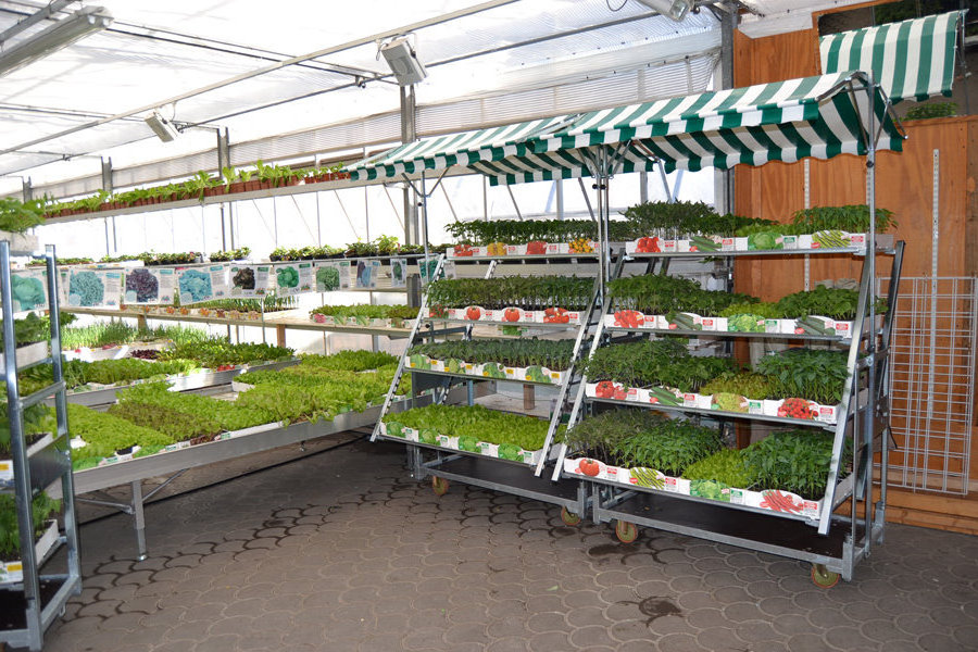 Convertible Rack Trolley Cart with Canopy Greenhouse Nursery Flower Shops Displaying Flowers and Plants Cabriolet Orlandelli