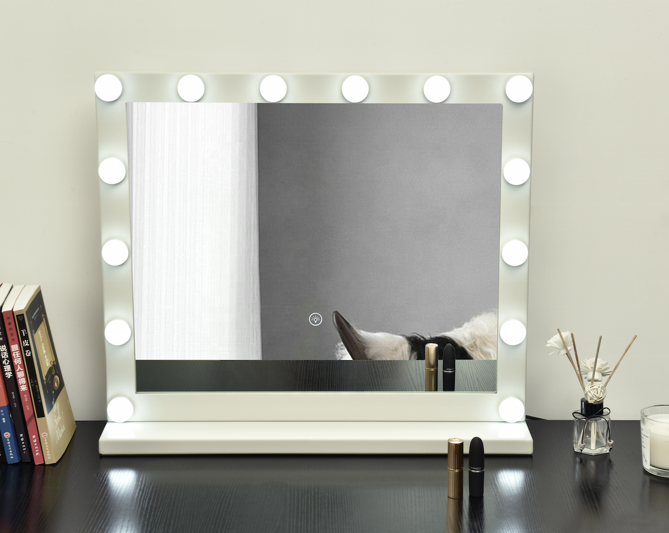 Ortonbath 20 Light Bulbs LED Dressing Mirror with Lights Wall Mounted Illuminated Vanity Hollywood Mirror for Bathroom Actress