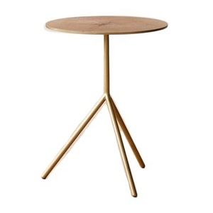 Metal Simple Design Decorative Metal Golden Legs With Wooden Top Hot Sale Modern Side Sofa Table