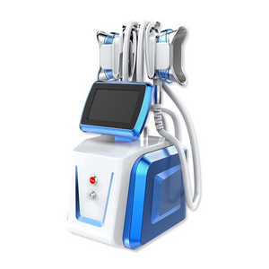 Popular portable cryolipolysis weight loss cryotherapy machine with two cryo handle