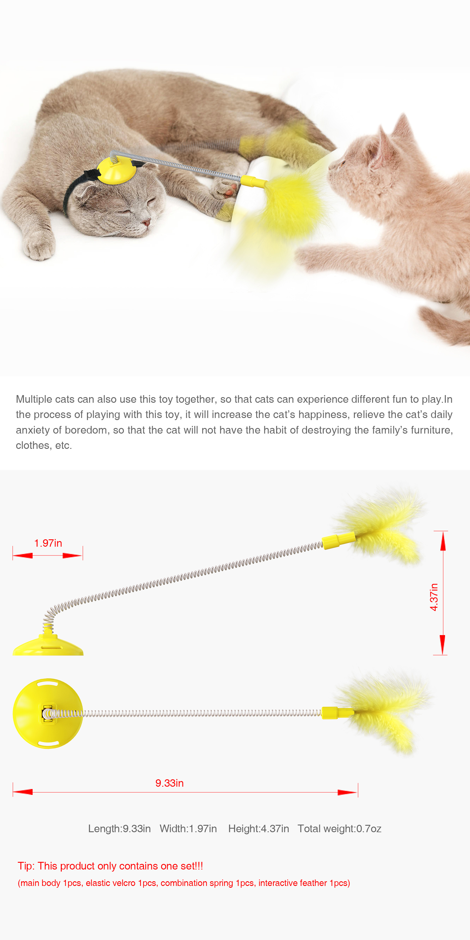 cat teaser playing indoor game chasing practice interactive feather toy