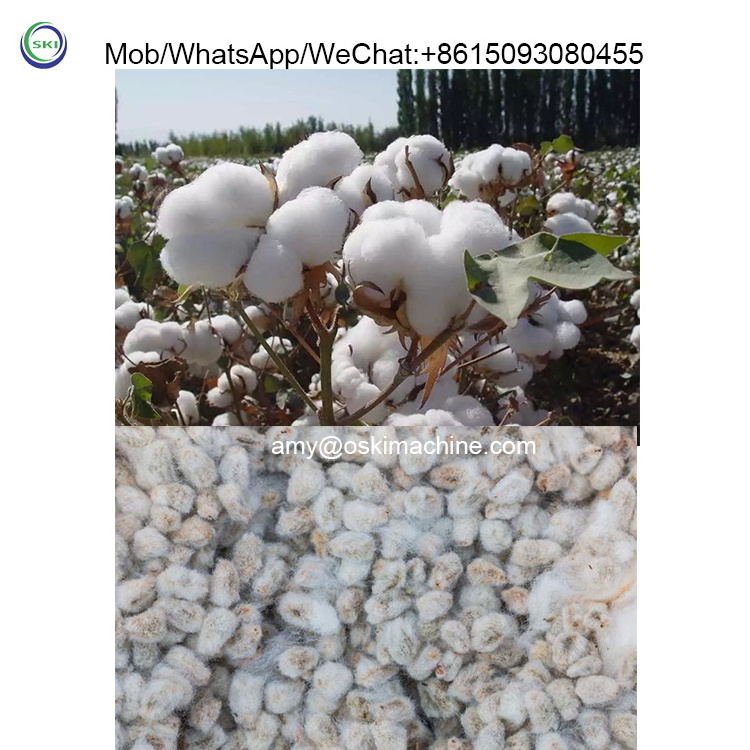 Saw type cotton gin and cleaning machine used cotton ginning machinery price