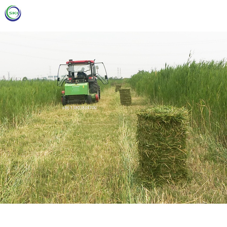 Hay Bale Straw Grass Machinery India Silage Baler Compress Wrapper Mini Machine Electric Hay Baler Twine Machine Automatically