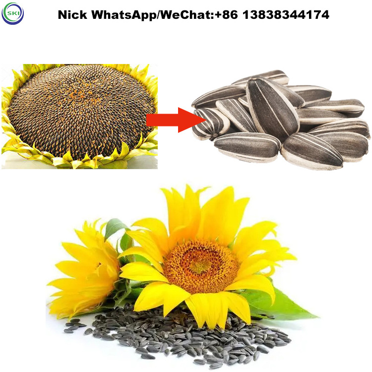 Seed Peeling Sunflower Thresher Small Model Sunflower Seeds Thresher Sunflower Seed Peeler And Sheller Machine