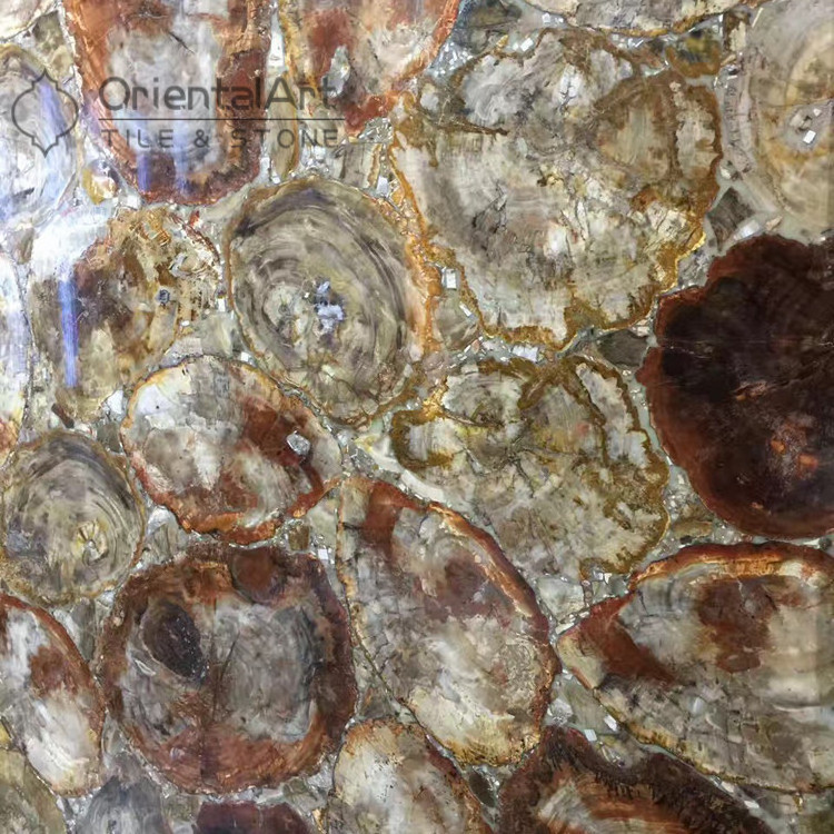 petrified wood countertops