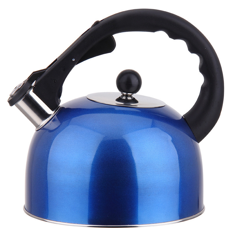 Heating Element Beer Brewing Tea Water Heater Portable Filter Tea Jug Electric Kettle