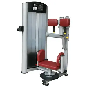 fitness machine/exercise/ Fitness Equipment / bodybuilding/ Torso Rotation(T11-013)