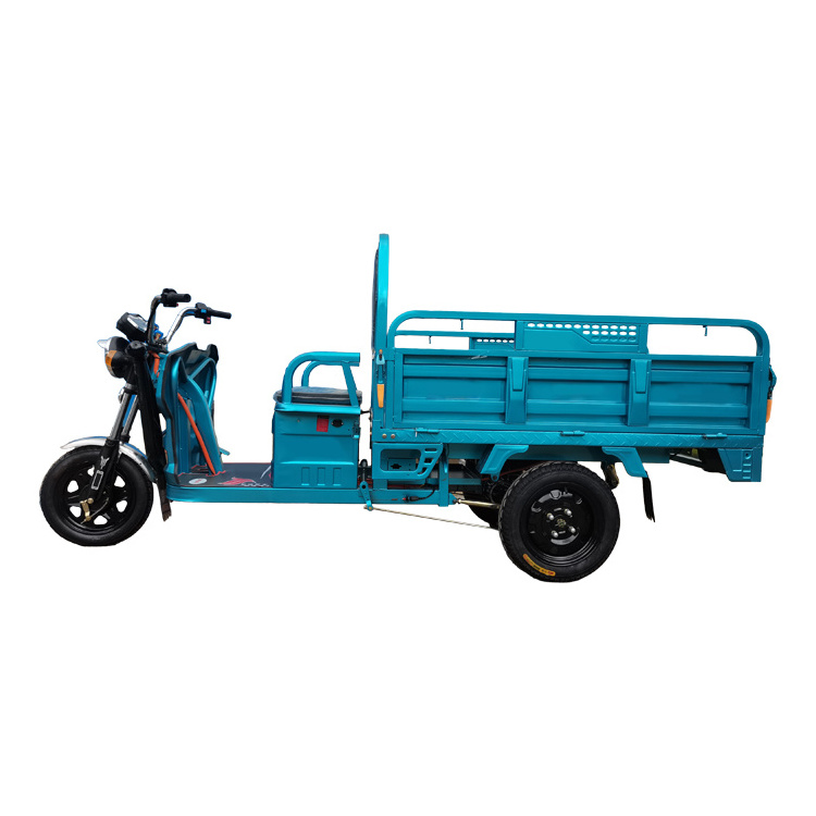 New Three Wheel Electric Scooter Tricycle with a passenger back seat 800w Motor Cargo Electric Tricycle