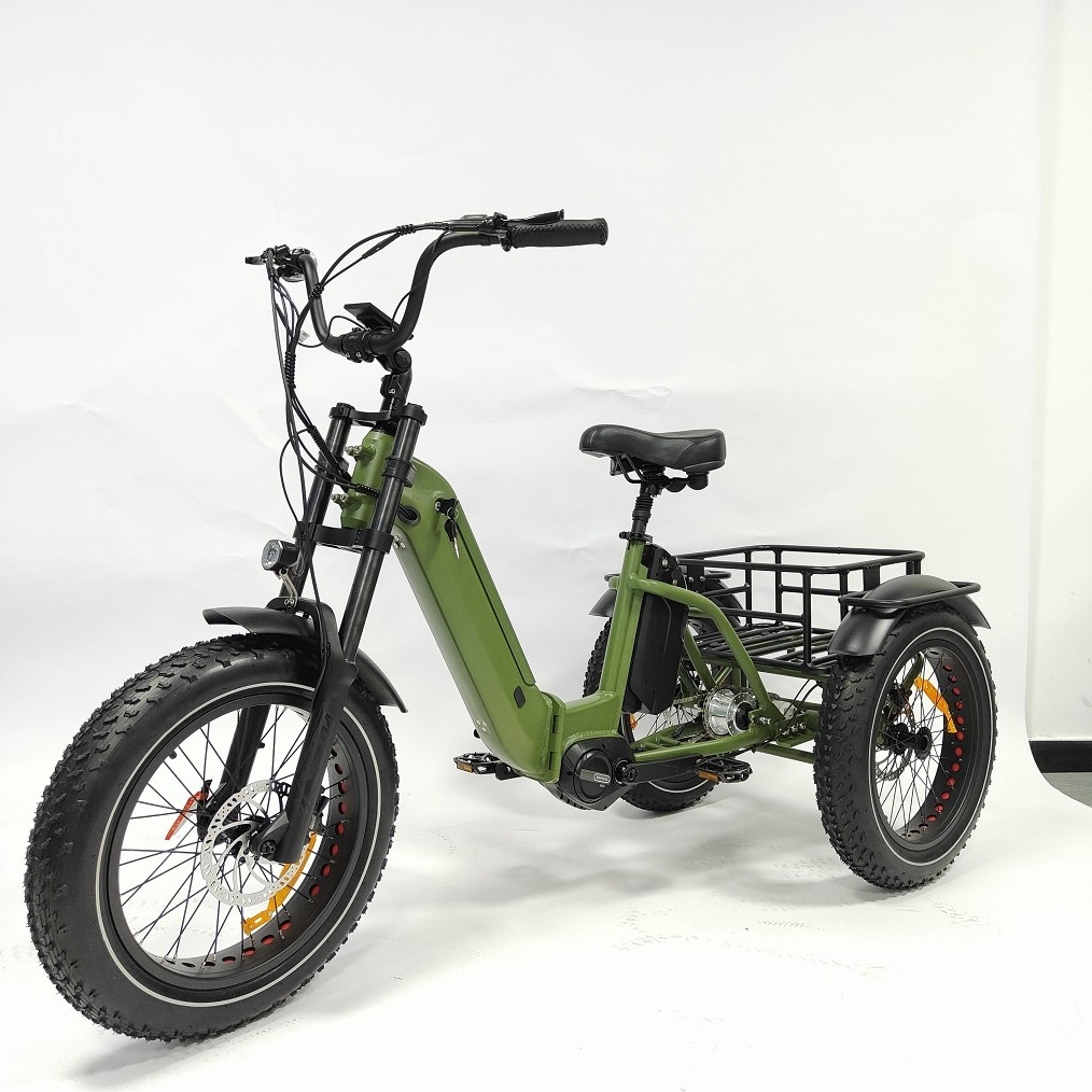 3 Wheel electric bike Fat Tire Electric Tricycle Three Wheel Electric Bike Mid motor Etrike Electric Trike