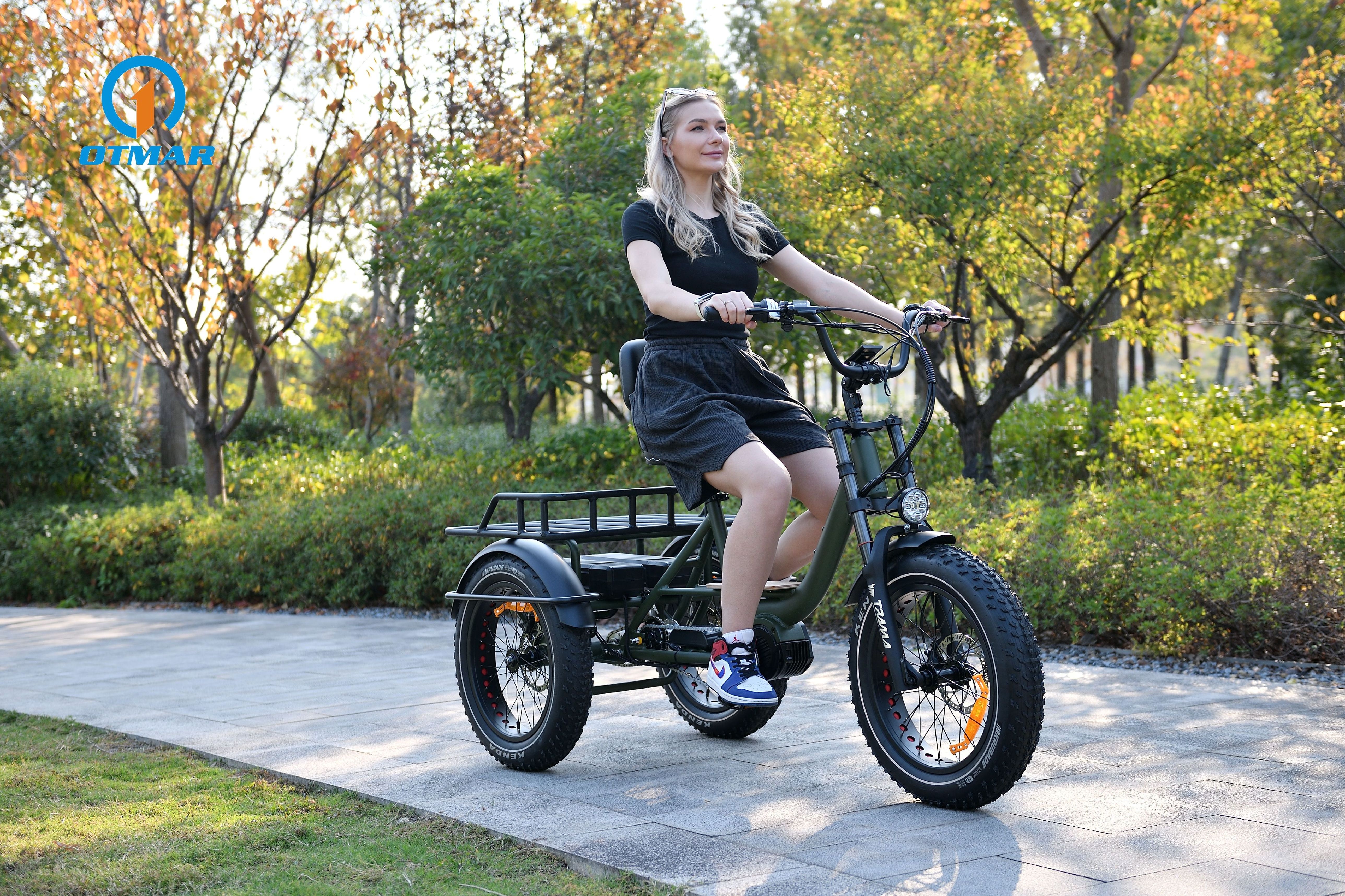 OTM Otmar Bafang 48V 1000W 20*4.0 Fat Tire Mid Drive Motor Camping Electric Cargo Bike 3 Wheel Electric Bike E Bike