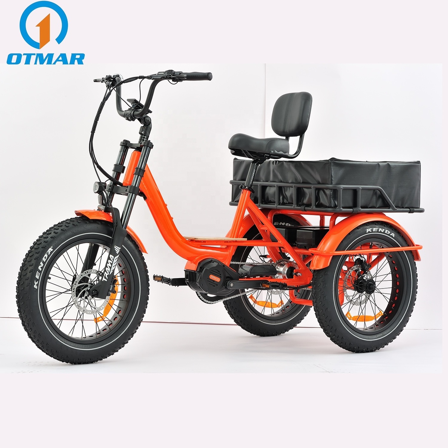 Fashion 3 Wheel Cargo Adult Electric Bike Fat Tire Sand And Snow 750w Electric Fat Tricycle