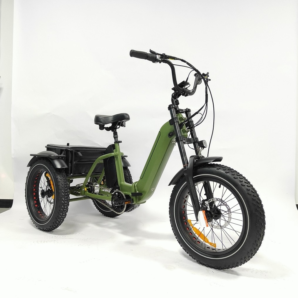 3 Wheel electric bike Fat Tire Electric Tricycle Three Wheel Electric Bike Mid motor Etrike Electric Trike