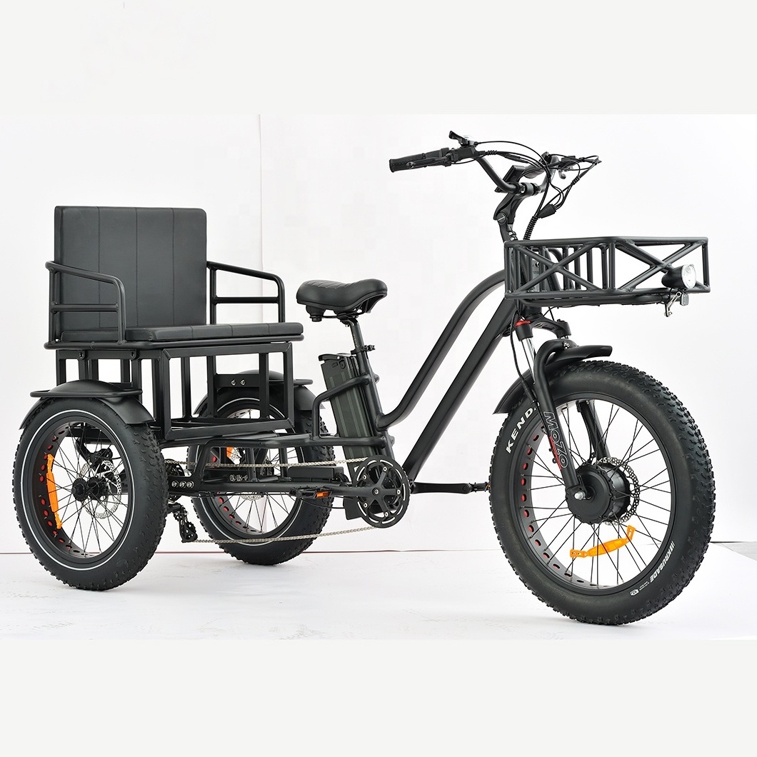 Cargo tricycle electric bike family 3wheel  electric bike 2 person seat electric tricycle with passenger seat