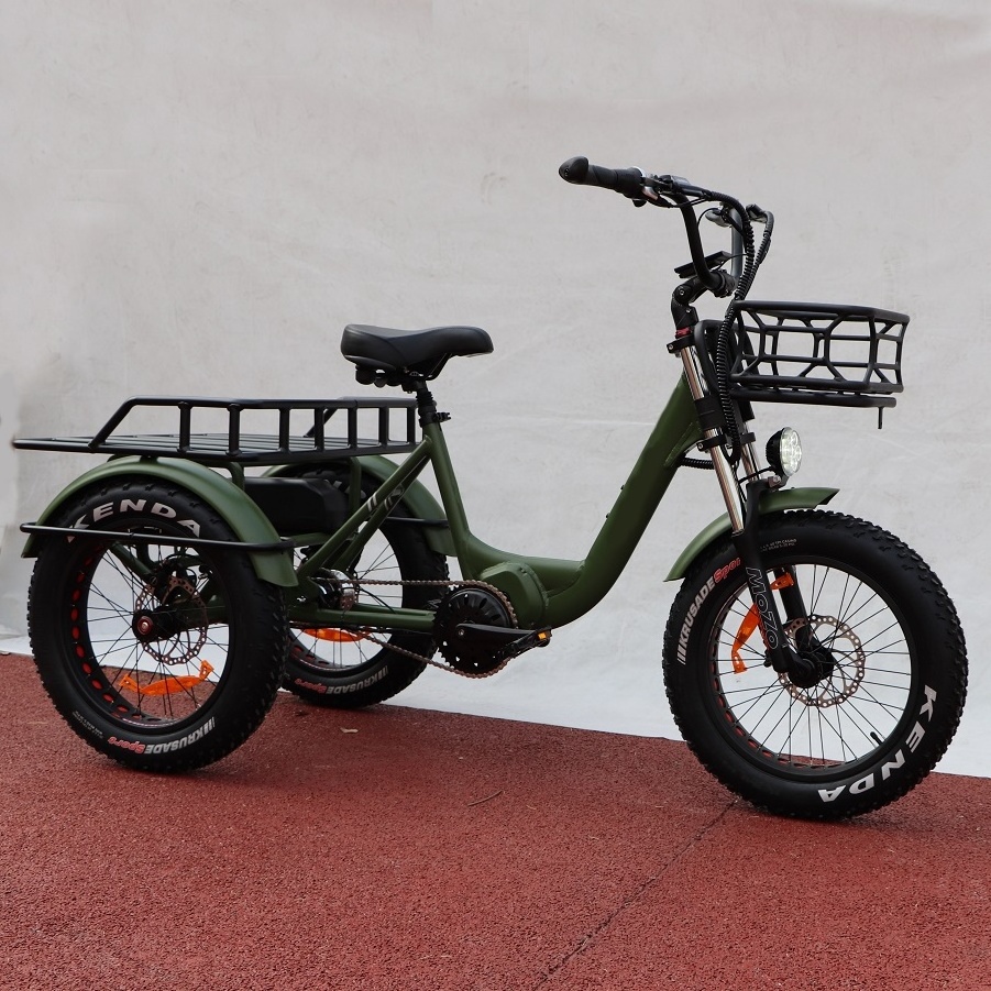 20inch  Cargo 1000w electric tricycle  mid drive 3 wheel electric bicycle fat tyre three wheel electric bike mountain E trike