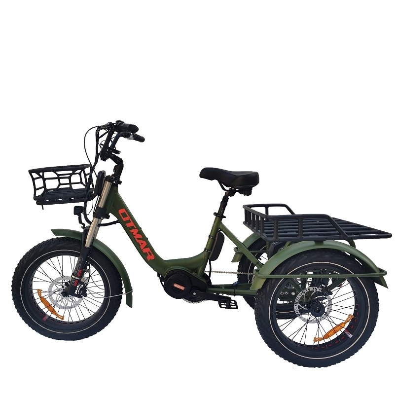 20inch  Cargo 1000w electric tricycle  mid drive 3 wheel electric bicycle fat tyre three wheel electric bike mountain E trike