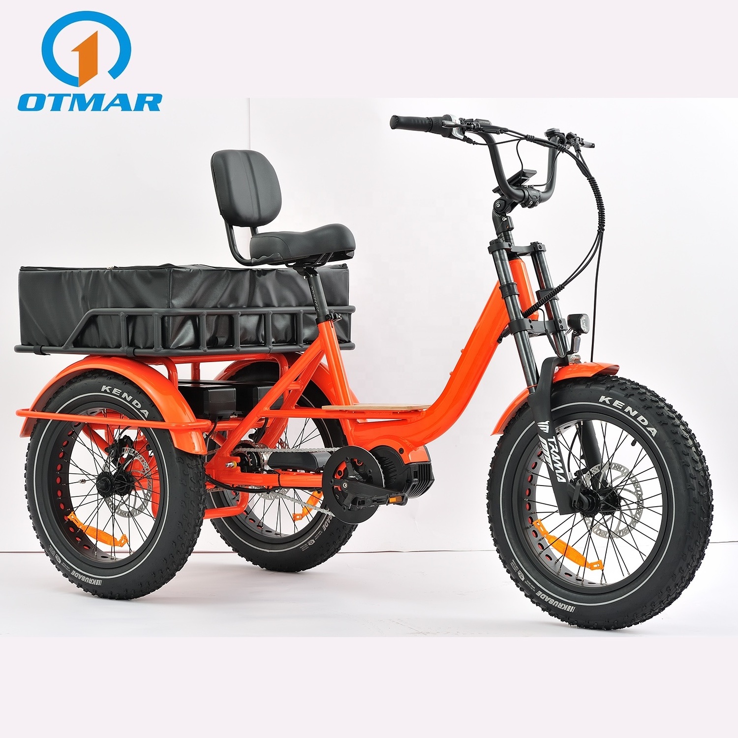 Fashion 3 Wheel Cargo Adult Electric Bike Fat Tire Sand And Snow 750w Electric Fat Tricycle