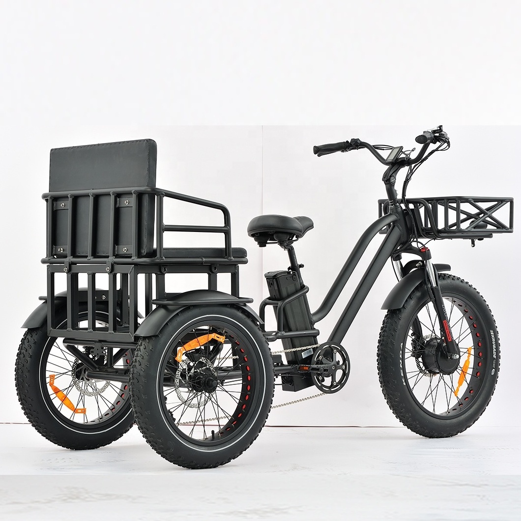 Cargo tricycle electric bike family 3wheel  electric bike 2 person seat electric tricycle with passenger seat