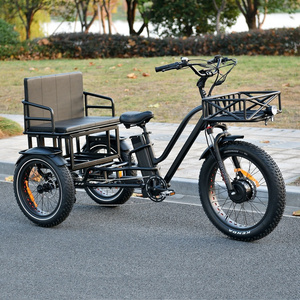 3 Wheel Cargo Electric Tricycles China Made fat tire Motor Electric Tricycle Two-Seater Bike