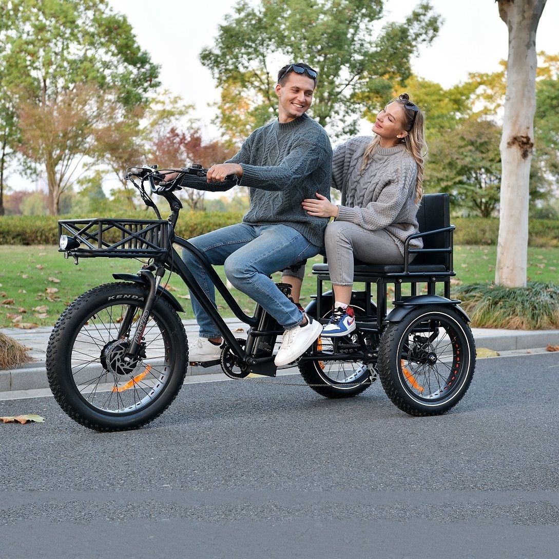 3 Wheel Cargo Electric Tricycle China Made Front Motor Electric Tricycle Two-Seater Bike