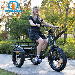 Fashion 3 Wheel Cargo Adult Electric Bike Fat Tire Sand And Snow 750w Electric Fat Tricycle