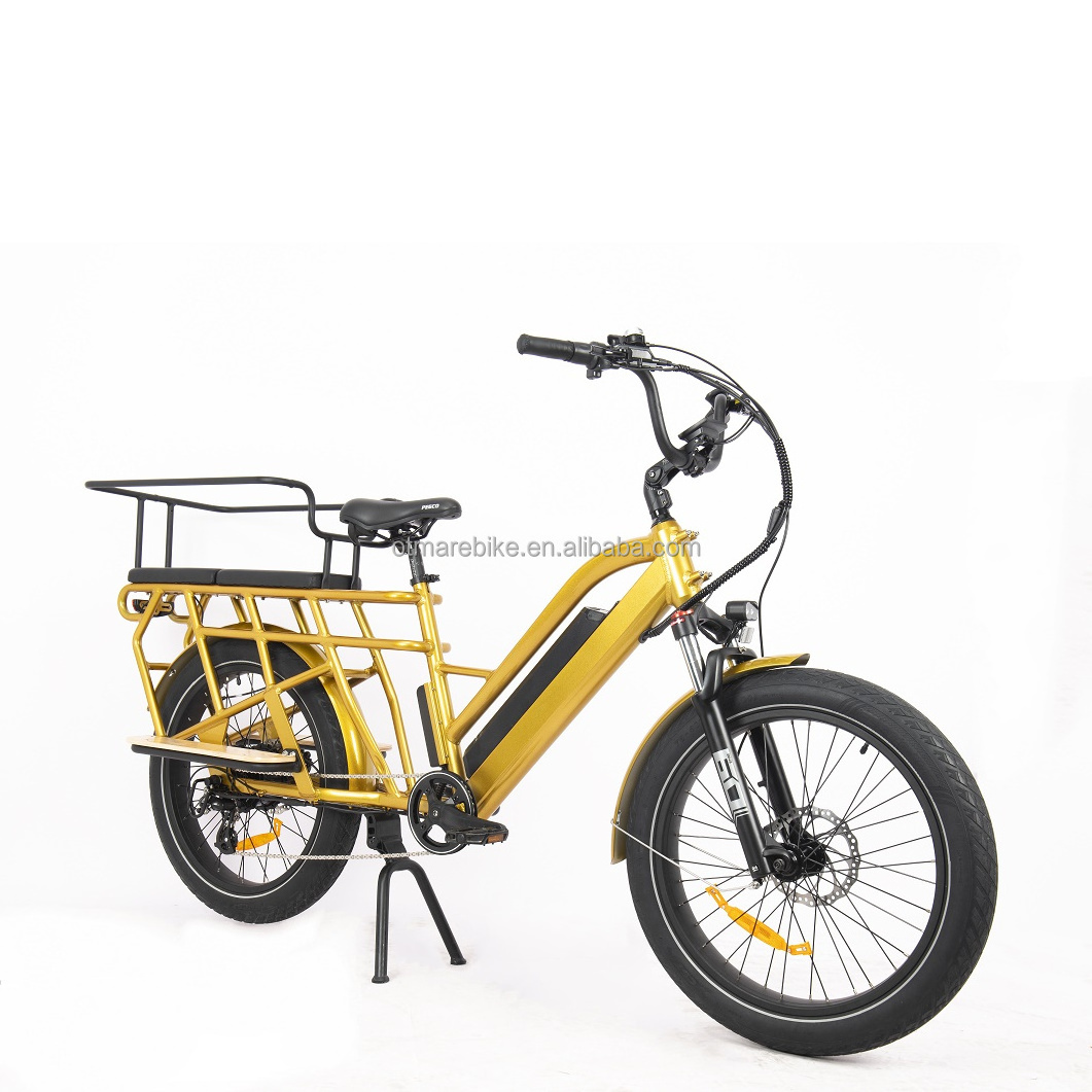 Double saddle cargo electric bike rack Electric bike with kids rear motor drive electric lithium battery bicycle city load bike