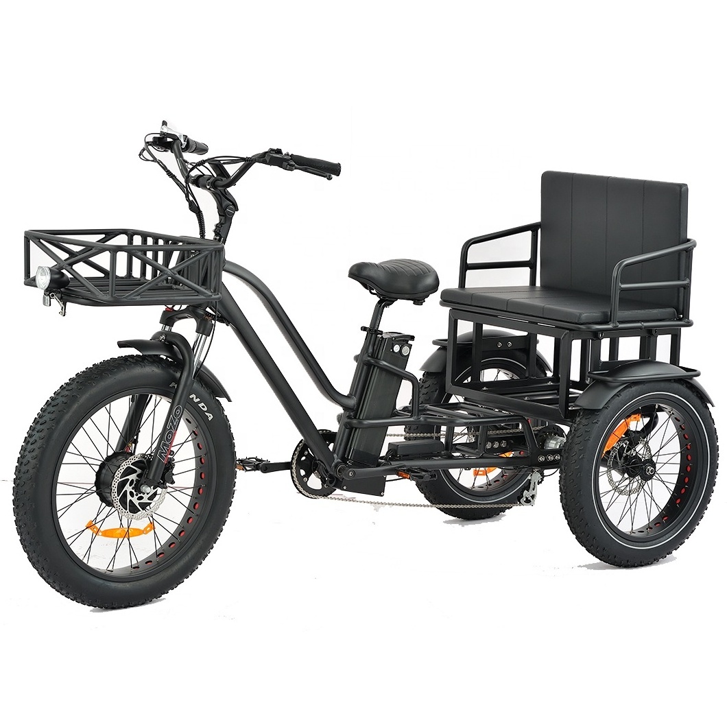 Cargo tricycle electric bike family 3wheel  electric bike 2 person seat electric tricycle with passenger seat