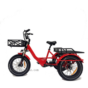 3 Wheel Electric Bike Cargo Mid Drive 750w 1000w Electric Fat Bike Adult Hot Sale Three Wheel Electric Delivery Bike