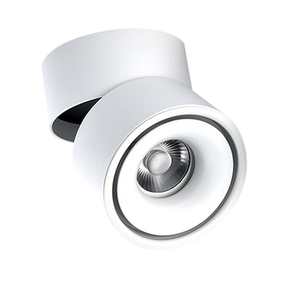 12W LED downlight up and down adjustable surface mounted down light