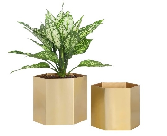 Gold Stainless Steel Cone Planter Indoor Tree Planter Plant Pot Flower Pot Containers Steel Cone Planter