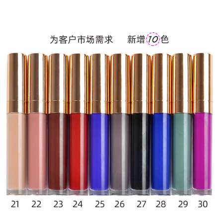 OEM private label hot sales wholesale Chinese Japanese Korean style long lastig waterproof lipstick