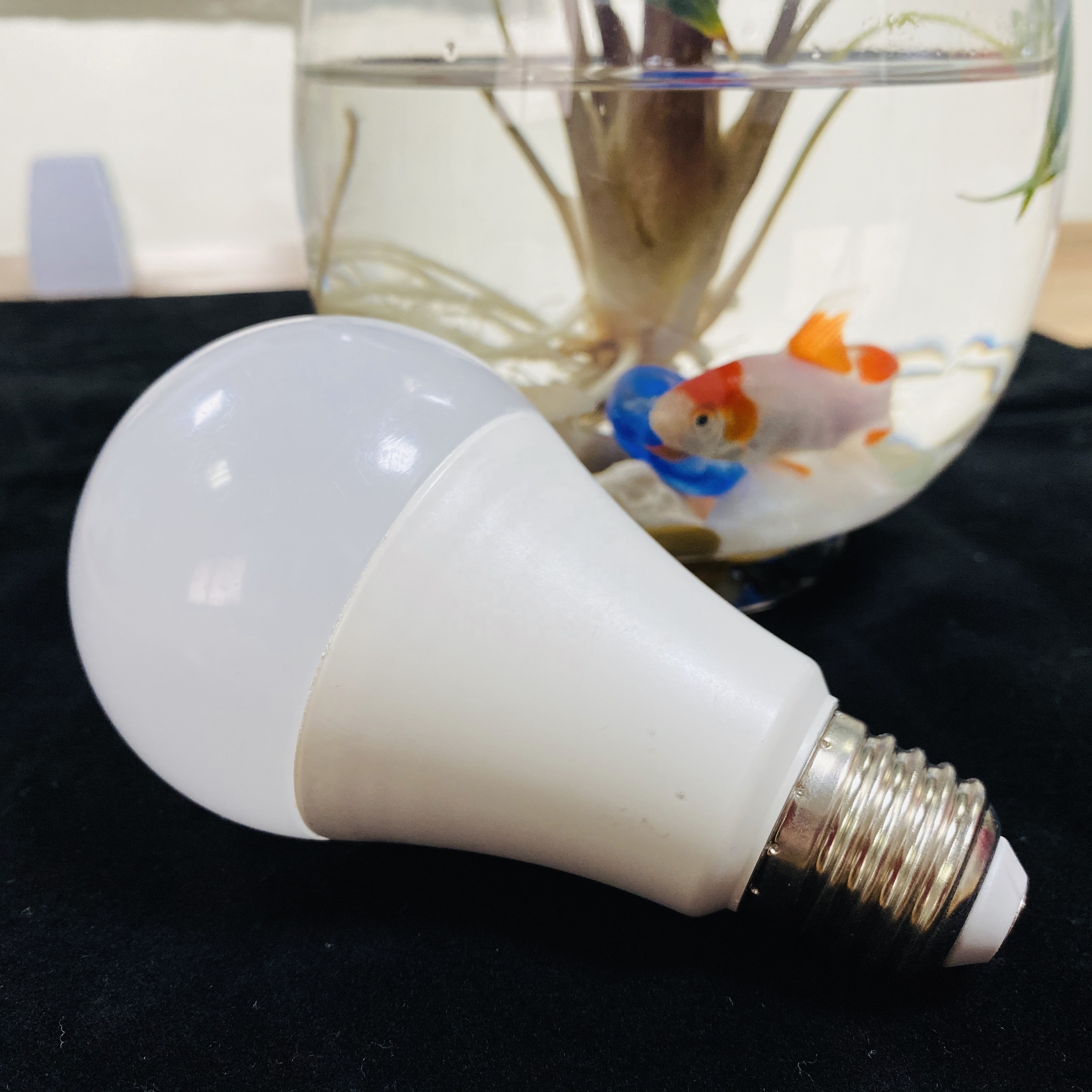 LED Decoration A bulb Customization OEM lighting bulb Warm/Cool white LED bulb